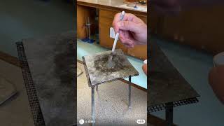 what happens if sulfur reacts with zinc powder facts experiment chemistry zinc [upl. by Kinny956]