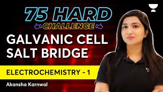 Electrochemistry  Part 1  Galvanic Cell  Salt Bridge  Akansha [upl. by Eldorado]