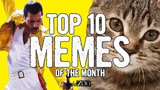 TOP 10 VIDEO MEME del MESE 14  ScuolaZoo [upl. by Brenna151]