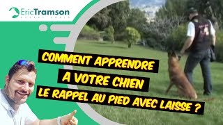 19 des tendances Comment apprendre à votre chien le rappel au pied avec laisse [upl. by Zigrang307]