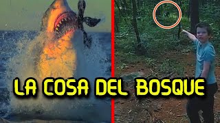 7 Casos con Videos de TERROR [upl. by Cristoforo788]