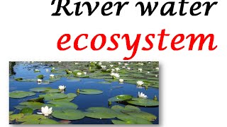 RIVER WATER ECOSYSTEM [upl. by Ttennej]