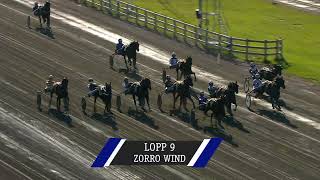 Åbytravet 220813 Åby Stora Pris Highlights [upl. by Benedict348]