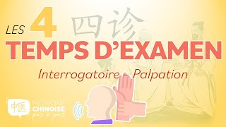 31  SI ZHEN – 4 Temps d’examen  INTERROGATOIRE  PALPATION  Médecine Traditionnelle Chinoise [upl. by Adamson670]