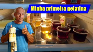 Minha primeira GELATINA  Viúvo Na Cozinha [upl. by Fifine]