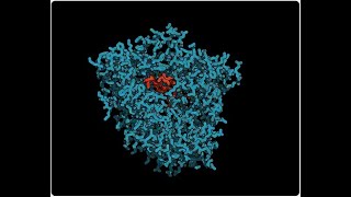 What is the Hepatic Microsomal Enzyme System [upl. by Milly19]