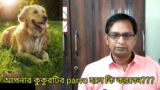 Parvo virus আক্রান্ত কুকুরের Symptoms এবং treatment কি কিDr Biswas Vet [upl. by Anizor]