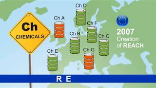 What is REACH And its impact for SOURIAU [upl. by Maclaine]