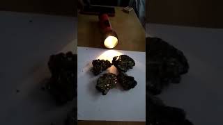 Californium stone torch light defuse test original [upl. by Htomit]