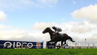 OLYMPIC GLORY wins the 2013 QE II Stakes Gr1 [upl. by Ardiedal]