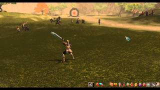 Metin2 Attack Speed Hack [upl. by Leirad397]