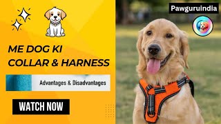 Me Dog Ki Collar and Harness Advantages amp Disadvantages  PawguruIndia  Dog Training [upl. by Donn]