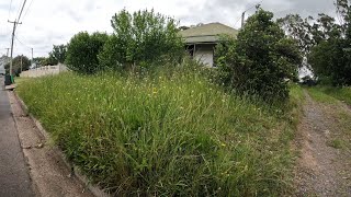 NEGLECTED HOUSE now LOOKS INCREDIBLE  Yard clean up [upl. by Adila716]