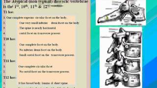 05 The Atypical Thoracic Vertebrae [upl. by Hafeenah76]