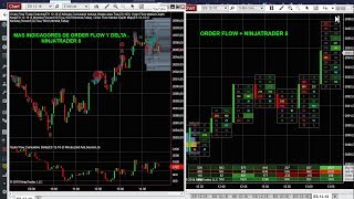 ORDER FLOW NINJATRADER 8  HERRAMIENTAS DE ORDER FLOW  Y TRADER [upl. by Lauber]