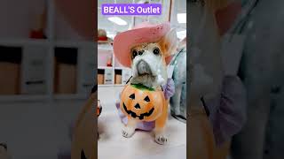 BEALLS OUTLET HALLOWEEN FINDS beallsoutlet shorts [upl. by Eihtur658]