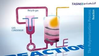 Polypropylene PP Production Process Overview [upl. by Diamante595]