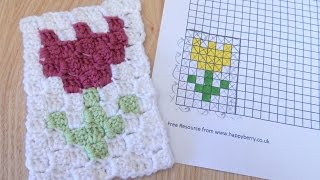 How to design your own Graphgan C2C crochet project [upl. by England617]