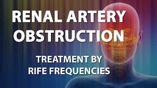 Renal Artery Obstruction  RIFE Frequencies Treatment  Energy amp Quantum Medicine with Bioresonance [upl. by Meunier82]