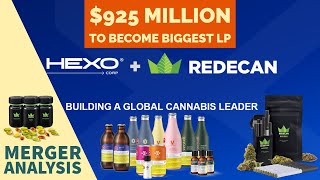 HEXO BUYS REDECAN Pros amp Cons  DEEP DIVE Financial Analysis [upl. by Capon]