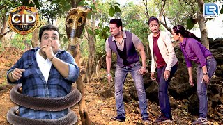 Team CID कैसे बचाएगी अपने आप को इस विषारी साप से  CID  सीआई डी  CID Latest Episode HD [upl. by Namien]