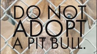 Anti Pit Bull Superbowl Commercial is Wrong [upl. by Ayad]