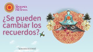 💥PODEMOS CREAR EL PASADO  Alma Rosa Elizondo [upl. by Lleuqram]