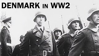 Denmark in World War 2  The Danish Resistance  Documentary Short  1944 [upl. by Yltneb529]