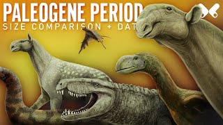 PALEOGENE PERIOD Animals Size Comparison and Data [upl. by Partan267]