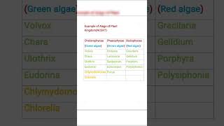 Example of algae  PLANT KINGDOM NEET NCERT BIOLOGY CLASS 11 [upl. by Kissner282]