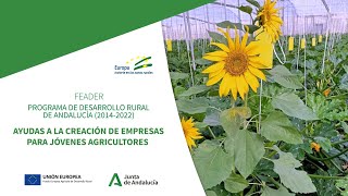 Ayudas a la creación de empresas para jóvenes agricultores [upl. by Regnig521]