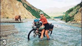 Bikepacking Denali Alaska  Cycling to Argentina 3 [upl. by Hgierb]