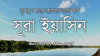 Surah yaseen BY ALAA AQELسوره يسسوره يسসুন্দর সকালের জন্য আবেগময় কন্ঠে সূরা ইয়াসিন। [upl. by Lramaj]