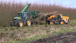 Short Rotation Coppice Harvesting and Forwarding [upl. by Ruthanne]