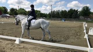 Dressage  Novice Test A [upl. by Pearlman749]