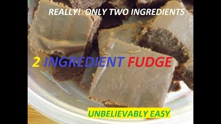 UNBELIEVABLY EASY 2 INGREDIENT FUDGE [upl. by Ahsiekram]