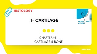 Cartilage  CHAPTER3 CARTILAGE amp BONE [upl. by Ahsiele220]