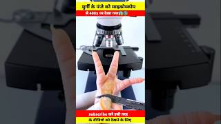 Chicken feet🐾पंजा undar the microscope।meat view facts shortvideo shorts short shortsvideo [upl. by Elbert]