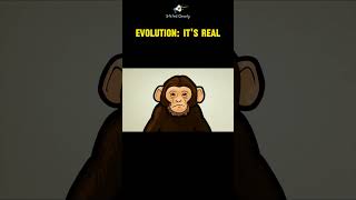 Evolution Sorry folks its real [upl. by Jarrid]