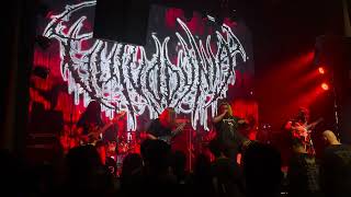 Vulvodynia  Adamaster  Full of Hell Asian Tour 2024  192024 [upl. by Caryl]