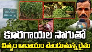 కూరగాయల సాగుతో నిత్యం ఆదాయం పొందుతున్న రైతు  Farmer Earns Regular Income from Vegetable Cultivation [upl. by Attebasile]