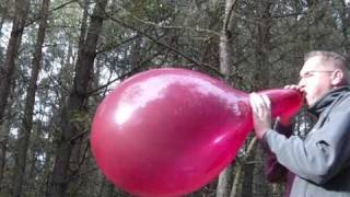 b2p 16 inch balloon  purple quotSuper Rund Ballonquot by Globos [upl. by Atsahs]