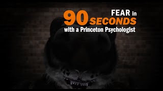 Fear explained in 90 seconds [upl. by Schwartz]