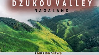 Dzukou Valley  Northeast India  Nagaland [upl. by Notnad]