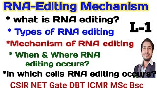 RNA Editing in EukaryotesL1Mechanism of RNA Editing csir net RNA editing [upl. by Enivid]