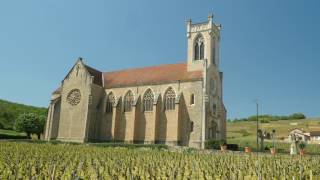 The Wines of Burgundy [upl. by Codel]