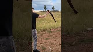 Mares Leg Single Hand Reload Henry 22LR [upl. by Annaira]