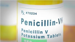 Nightmare Bacteria The Discovery of Penicillin and the Emergence of MRSA [upl. by Gittle]