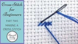 HOW TO READ a CROSS STITCH CHART amp Follow a Cross Stitch Pattern  How to Do Cross Stitch Flosstube [upl. by Casabonne]