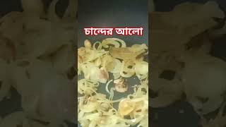 আলু পটল দিয়ে মুরগী গোস্তো রান্না দারুণ রেসিপি পাঠ ২ চান্দের আলো নিয়ে গান food islamicgojolislamic [upl. by Aikas132]